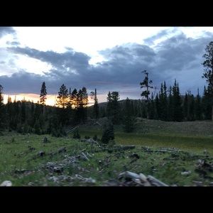 Meet your Posher, Ann-michelle